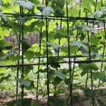 thumbnail image 3 of GardenClimbingPlantsStakesReusableAnti-slipSurfacePlantStakeForGardenGreenhouseSupply, 3 of 4
