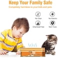 thumbnail image 2 of 4 Pack Humane Mouse Traps Indoor for Home, Live Mouse Traps No Kill, Reusable Mice Small Rat Trap Catcher for House & Outdoors, 2 of 4