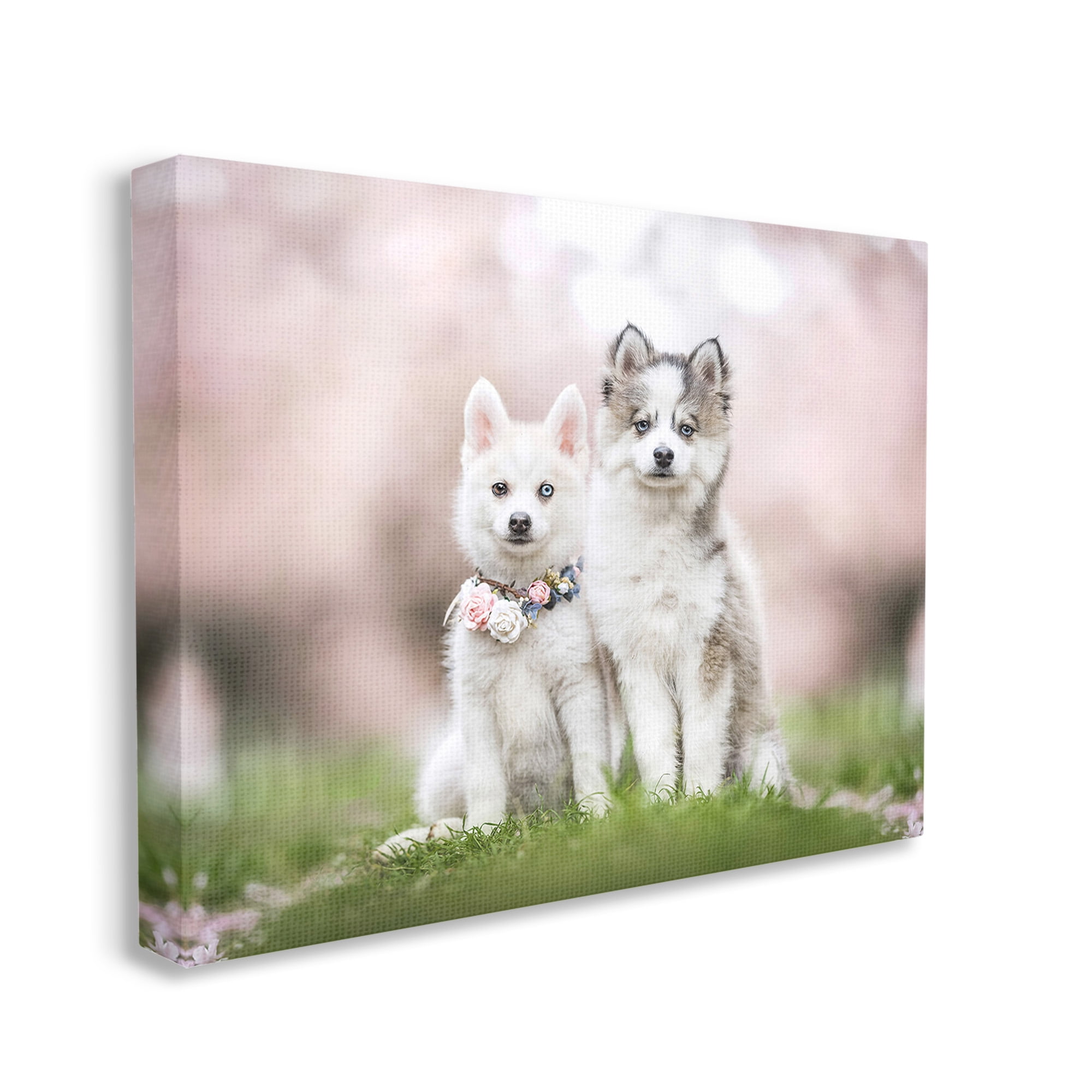 Stupell Industries Husky Puppies in Meadow Animals & Insects Painting Gallery Wrapped Canvas Art Print Wall Art, 40 x 30