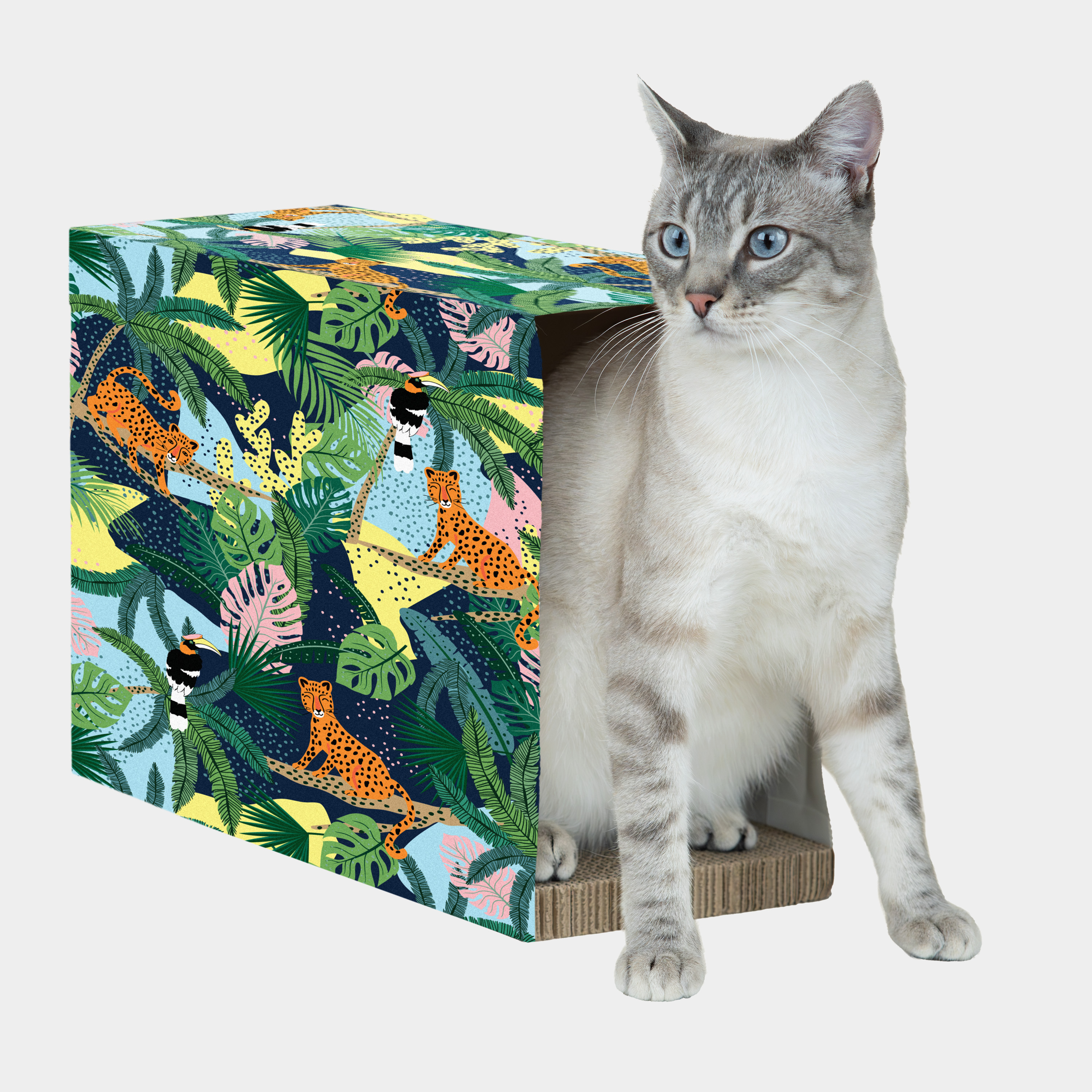 Kitty City Paper Bag Scratchers for Cats, Jungle Paper Bag 2-Pack