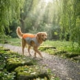 thumbnail image 6 of Dog Cooling Vest Dog Harness Cooler Jacket Adjustable Summer Clothing, for Walking Dog, Outdoor Camping and Hunting Training,Orange,L, 6 of 6