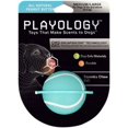 thumbnail image 1 of CHOK Squeaky Dog Toy Chew Ball  All-Natural Peanut Butter Scent  Medium/Large  Blue., 1 of 2