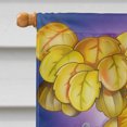 thumbnail image 3 of Carolines Treasures APH0978CHF Animals Kayaking Flag Canvas House Size, 3 of 4
