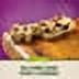 thumbnail image 5 of Nature Valley Chewy Trail Mix Fruit & Nut Granola Bars (48 ct.), 5 of 6