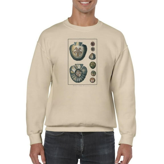 Sea Shell V Sweatshirt Men -Denis Diderot Designs, Male x-Large