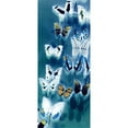 thumbnail image 3 of Taylor, Evangeline 8x14 Black Modern Framed Museum Art Print Titled - Morccan Blue Butterflies 1, 3 of 5