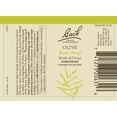 thumbnail image 2 of Remedios florales Bach Original Be Your Best, paquete de 3, 20 ml, x3, 2 of 4