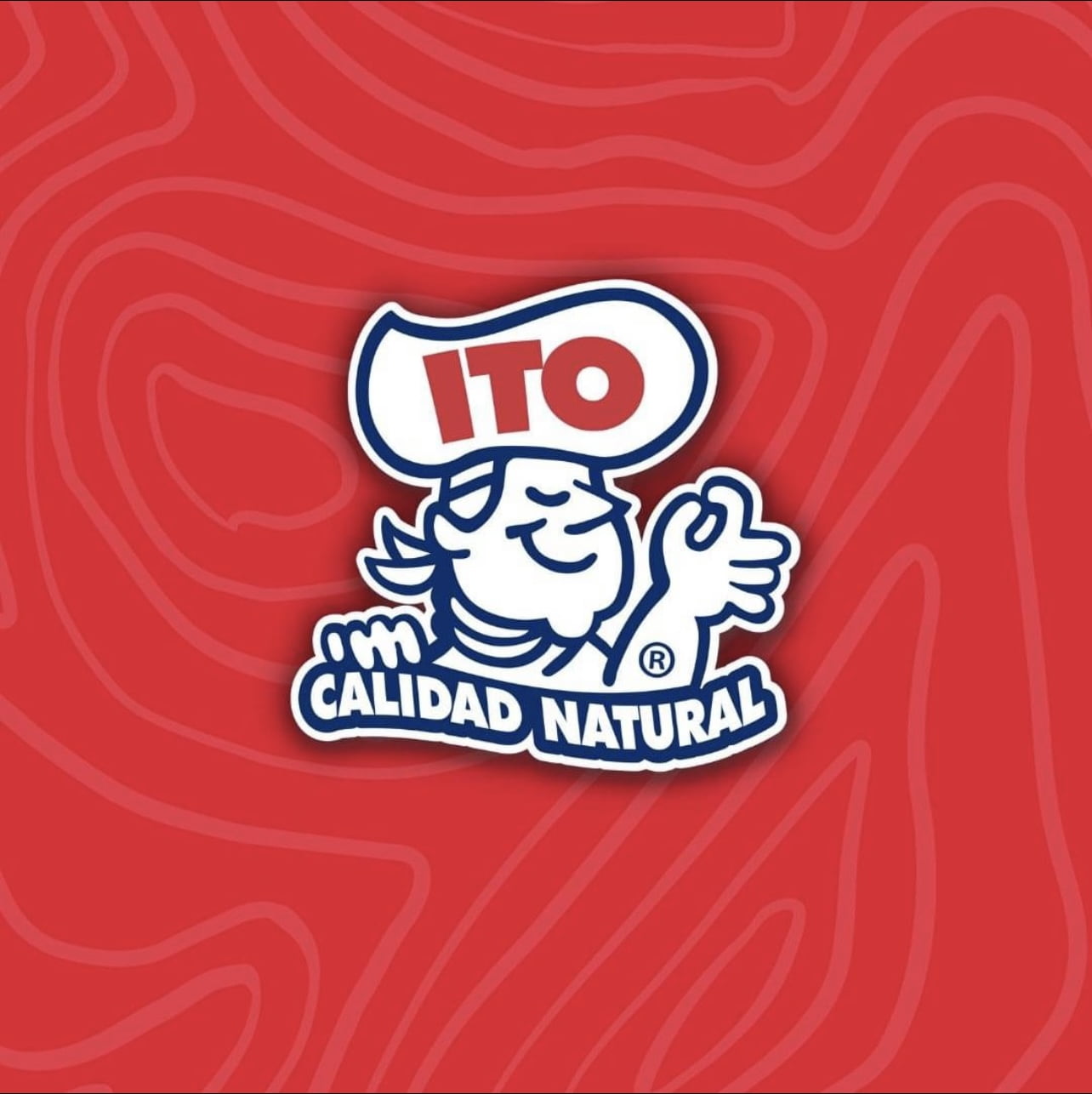 Ito Garlic Squeeze Bottled Spread Ground Garlic, 12oz Individual No Salt Gluten Free