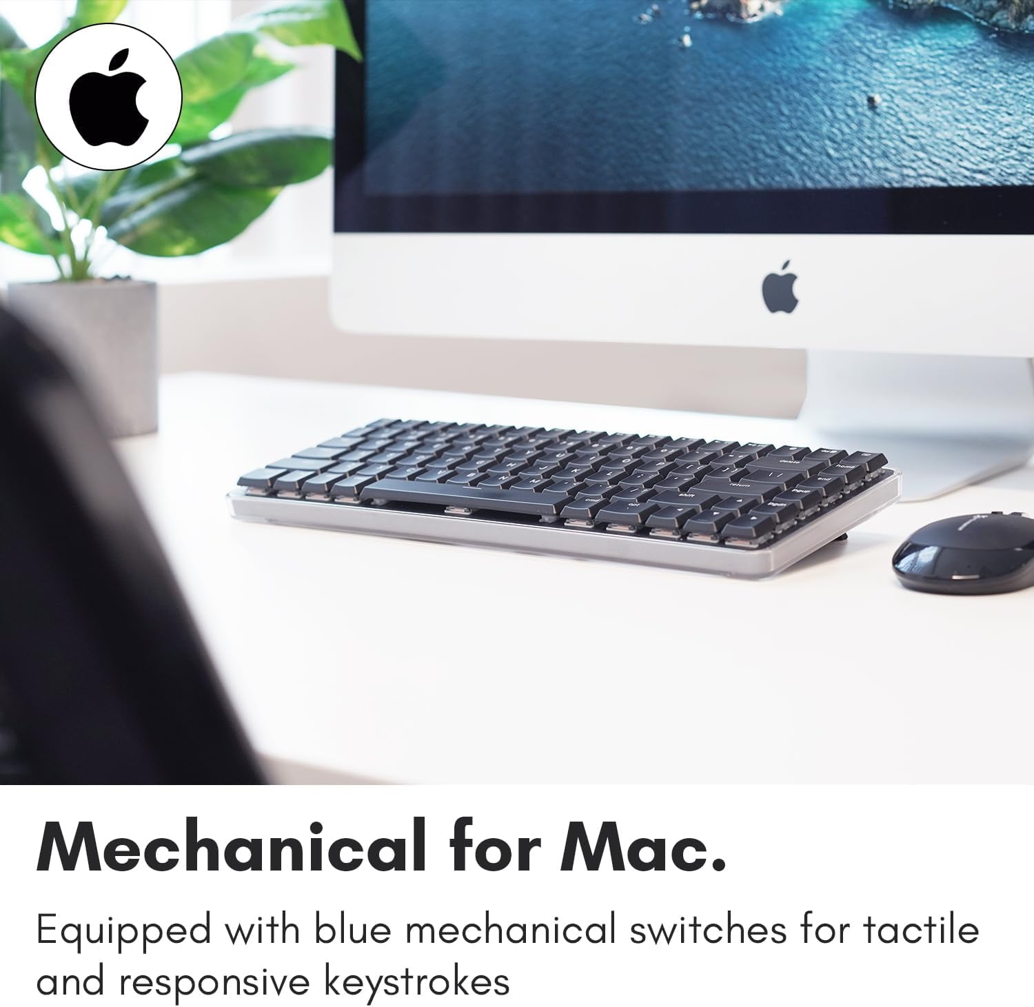 Macally Wireless Mechanical Keyboard for Mac | Compatible Bluetooth Apple Keyboard (75% Size, Blue Tactile Switches)  Compact, Multi Device, Backlit for MacBook Pro/Air, iMac, Mac Mini/Pro