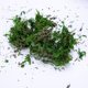 thumbnail image 3 of unbranded De Musgo Artificial Verde Natural Para Dioramas Y De Jardín Interior, 3 of 6