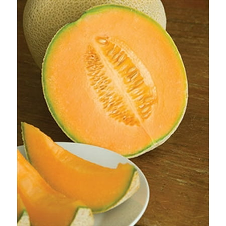 Cantaloupe Hale's Best Seed - 1 Packet