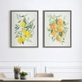 thumbnail image 5 of Kate and Laurel Sylvie Orange Citrus and Lemon Citrus Framed Canvas Wall Art Set by Patricia Shaw, 2 Piece 18x24 Gray, Colorful Soft Fruit Plant Art for Wall, 5 of 6