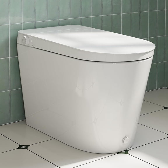 HOROW Non-Electric ADA Bidet Toilet White Ceramics Elongated with Dual Nozzles Foot Flush N30