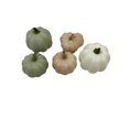 thumbnail image 2 of Way to Celebrate Green\Cream|\Tan Bagged Mini Pumpkin 5pc, 2 of 5