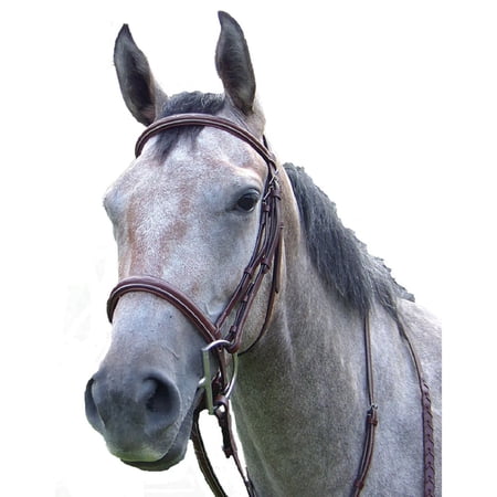Intrepid International Pro-Trainer Silver Fancy Raised Padded Bridle (Full, Brown)