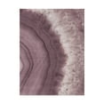 thumbnail image 1 of Trademark Fine Art 'Agate Geode II Plum' Canvas Art by Wild Apple Portfolio, 1 of 3