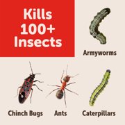GT Sevin Garden Perimeter Insect Killer Granules 3lb