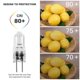 thumbnail image 4 of 20 Pcs G4 Halogen Bulbs,20W 12V Halogen Light Bulbs, 4 of 4