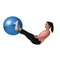 thumbnail image 3 of GoZone Exercise Ball, 3 of 6