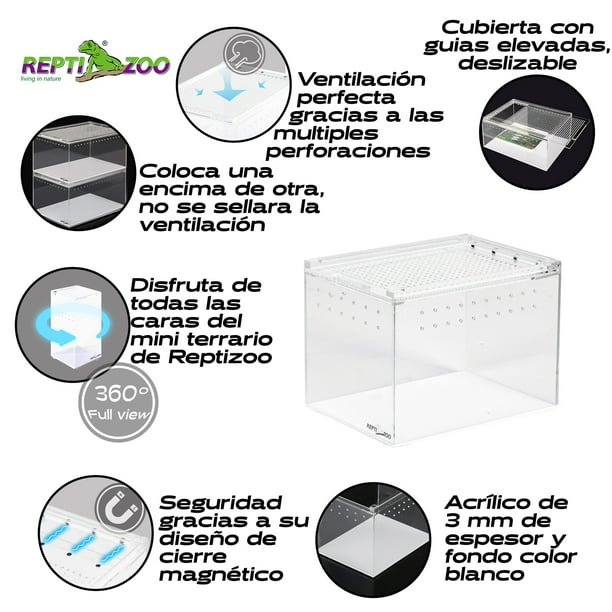Caja De Cría Transparente Para Insectos - Terrario Para Tarántulas, Grillos, Lagartos, Reptiles Pequeños, Hábitat De Plástico