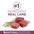 thumbnail image 4 of Purina ONE SmartBlend Healthy Puppy Formula Lamb, Dry Dog Food 1.81kg, 4 of 9