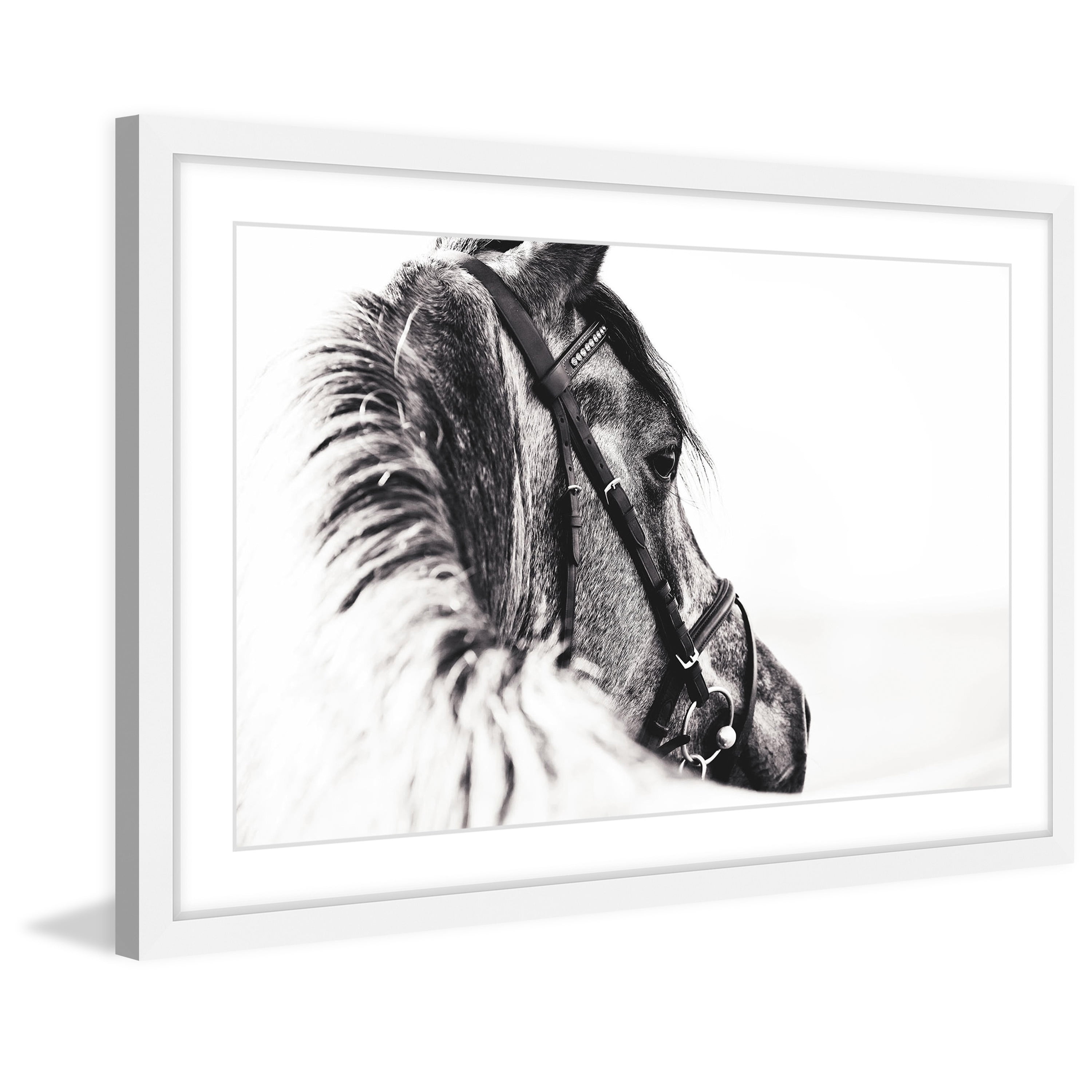 Marmont Hill "Equus Profile" Framed Painting Print