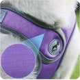 thumbnail image 4 of Dog Harness with Leash Set, Adjustable Step in Collars Harness with Breathable Padded Vest for Large Dog Training and Running (L, Purple), 4 of 11