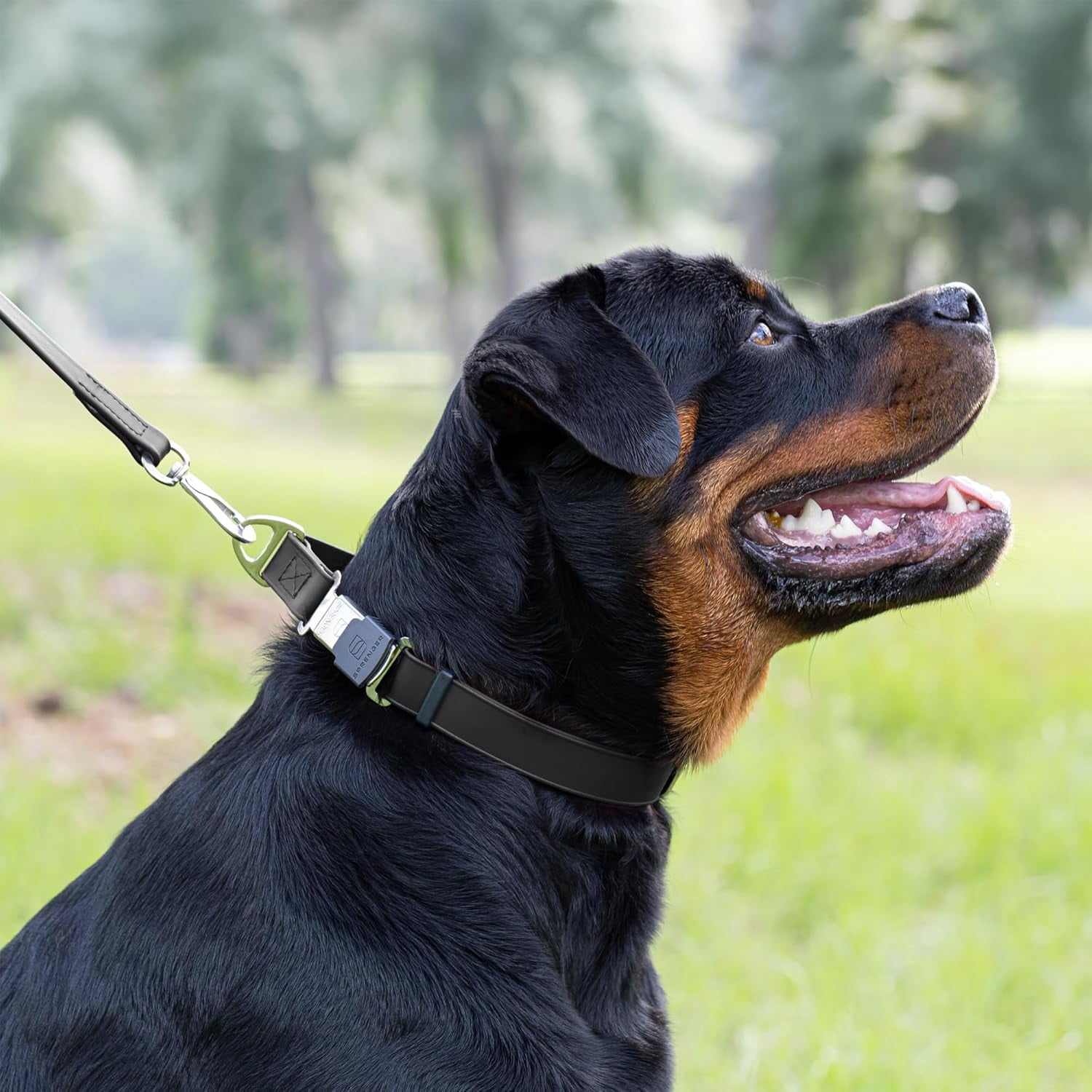 Waterproof Dog Collar with  Stainless Steel Quick Release Buckle – Heavy Duty Tactical Durable Collar for Dogs – Comfortable and Safe Pet Collar W1 L 15-25"