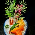 thumbnail image 6 of TABLETREANDS Bamboo Platter for Sushi and Sashimi 10Pcs Green Leaf Shape 52.5x26.5x1in, 6 of 8