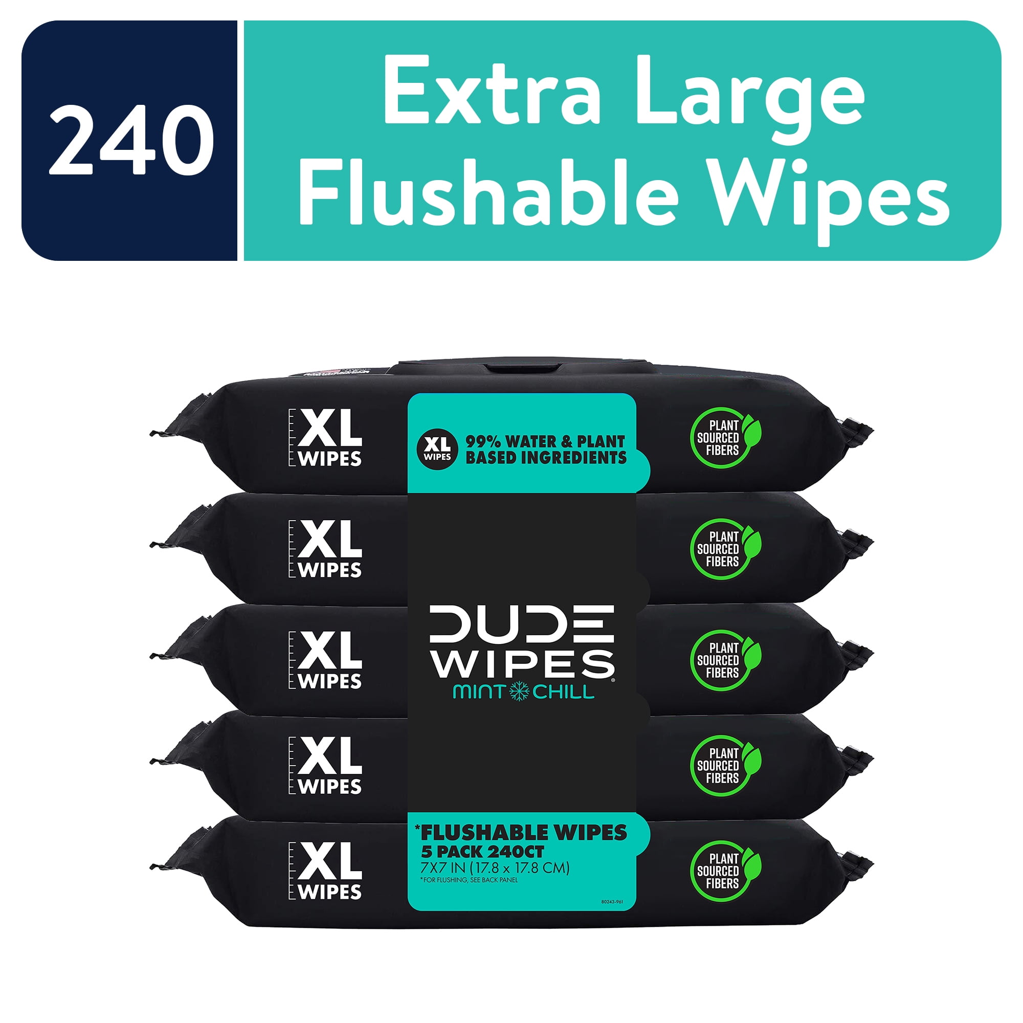 DUDE Flushable Wipes  Extra Large Mint Chill Wet Wipes  48 Count  5 Pack (240 Total)