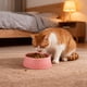thumbnail image 5 of RKSTN Cat Bowls Round Plastic Pet Bowl, Plastic Pet Eating Bowl, Easy to Clean Cat Dog Eating Bowl Pink, 5 of 6