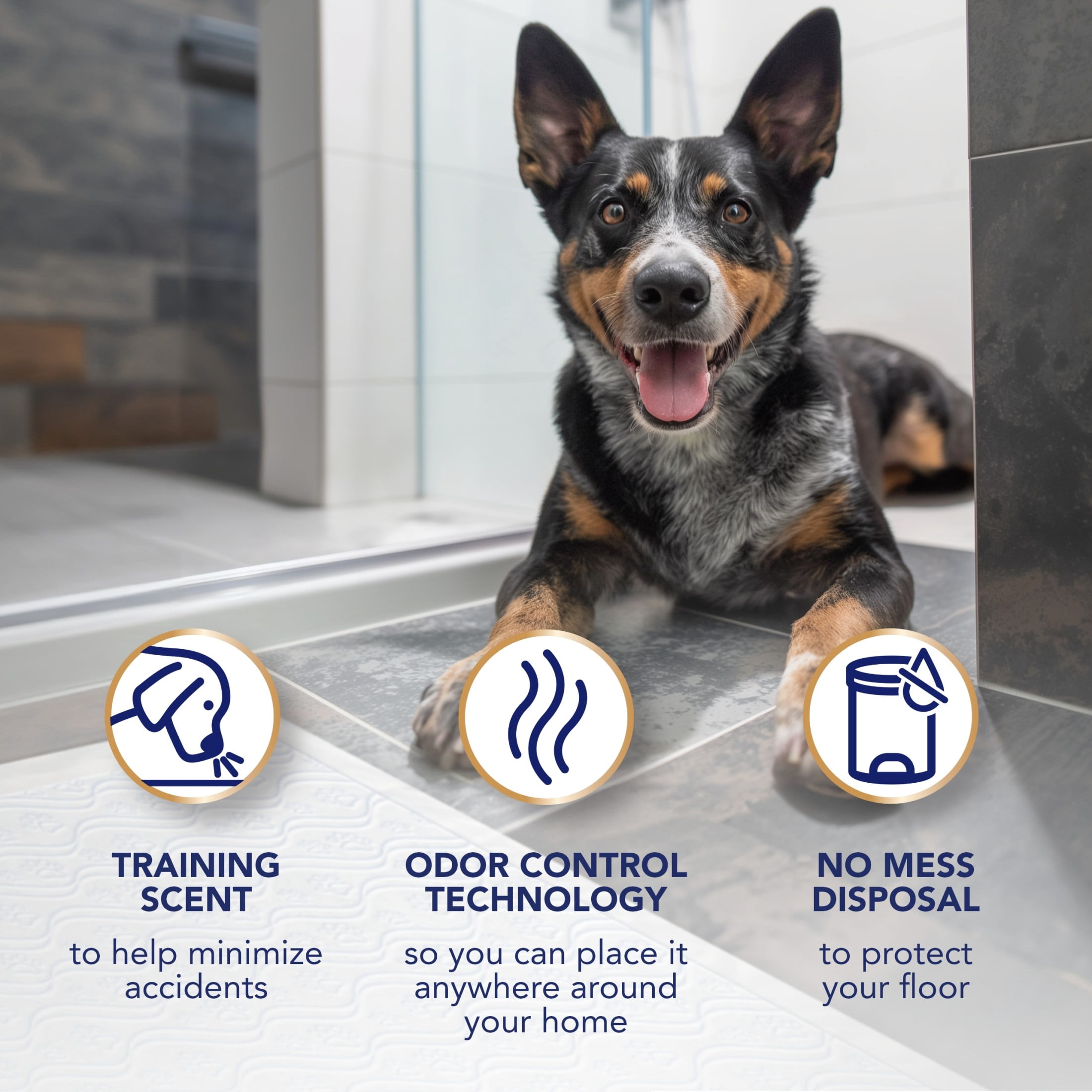 Scott Pet Guard Advanced Dog Pads - Dog Training Pee Pads for Puppies, Medium & Large Dogs - Up to 16 Hour Absorbency with Odor Control - Softest Quilted Dog Pee Pads - XL - 30" x 36" - 20 Pack