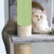 thumbnail image 2 of EeaseMX Cuerda de sisal de 10 m para mascotas, juguete para gatos, marco de escalada, cuerda de cáñamo, accesorios para gatos (verde), 2 of 8