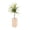A, variant on 1Pcs Wooden Air Plant Holder, Air Plant Container Live Holder Wood Base with Metal Spiral for Display Small AirPlant, Tillandsia Stands for Home Desktop Office, Housewarming Gift - B