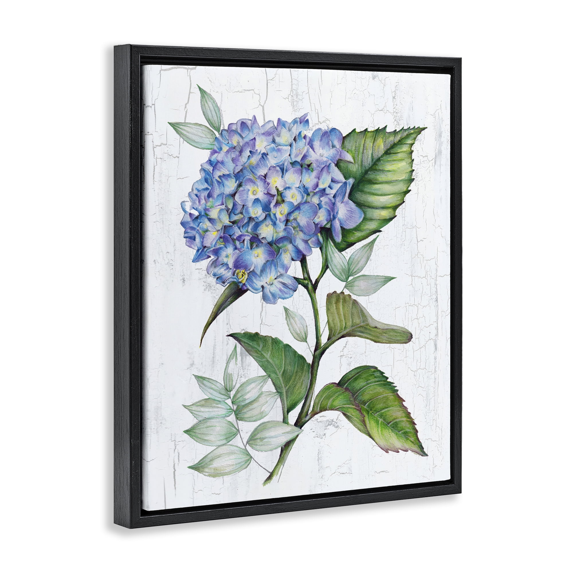 Stupell Industries English Manor Hydrangea Plants & Flowers Painting Black Floater Framed Canvas Art Print Wall Art, 25 x 31