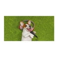 thumbnail image 2 of Xihbxyly Toalla de Playa con Temática de Perro, Microfibra de Secado Rápido, Diseño Ligero y Absorbente, Ideal para Yoga, Senderismo y Viajes, Ideal Como Regalo de Verano, 75 X 150 Cm., 2 of 7