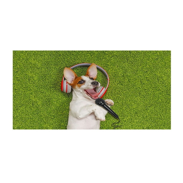 Piscinas de Perros para Perros Grandes Toalla de Playa Temática de Perro, Regalo de Bola de Toalla de Playa -30x60 Pulgadas Toalla de Playa Grande, Secado Rápido Absorbente de Peso Ligero Toalla de Pl