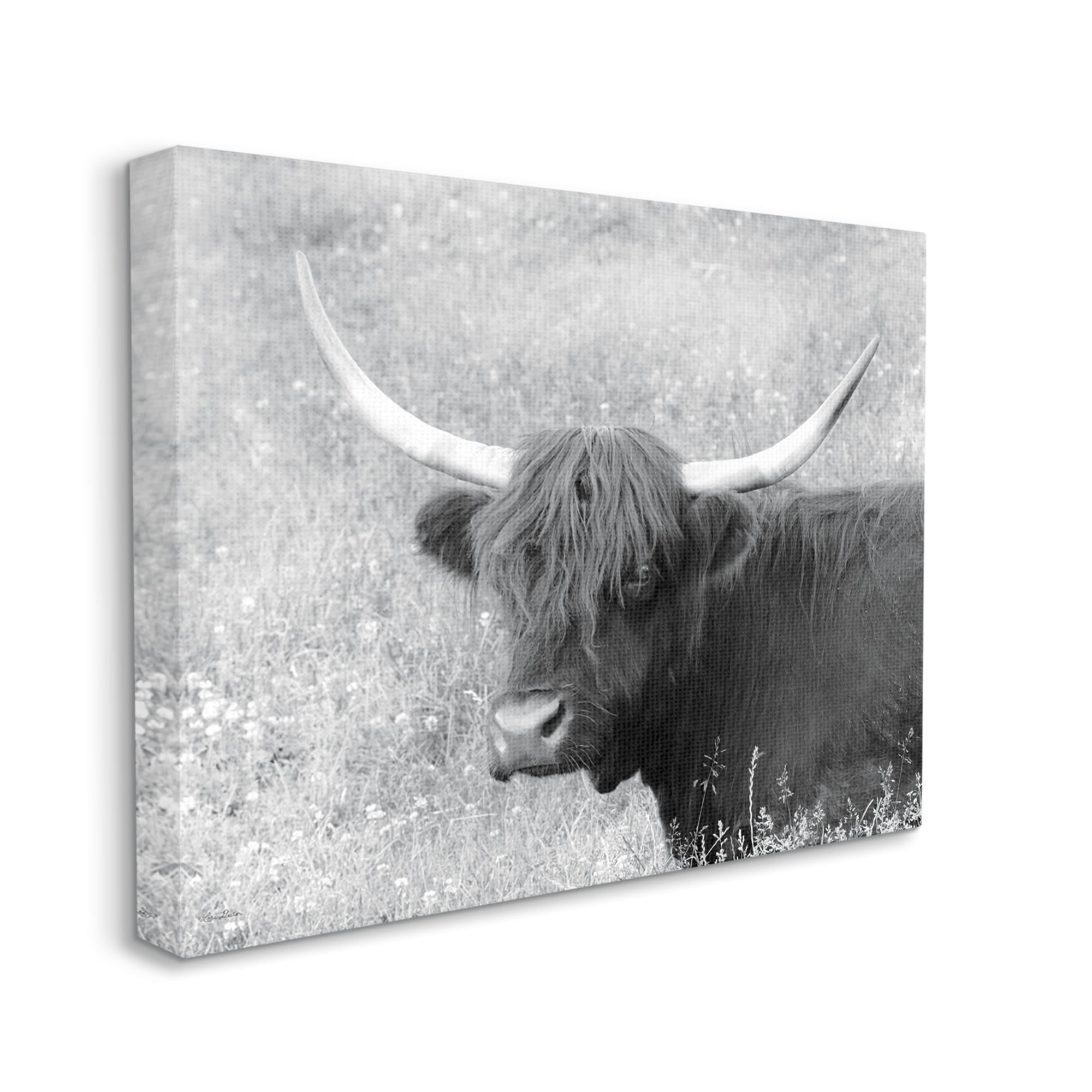 Stupell Farmhouse Cattle Highland Portrait Animals & Insects Photography Gallery Wrapped Canvas Print Wall Art