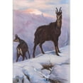 thumbnail image 3 of Josef Straka 11x14 Black Modern Framed Museum Art Print Titled - Two Chamois in the Winter High Mountains, 3 of 5