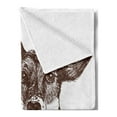 thumbnail image 2 of Jack Russell Soft Flannel Fleece Blanket, Sketch Dog with All You Need is My Love Words Purebred Animal Design, Cozy Plush for Indoor and Outdoor Use, 60" x 80", Pink Brown and White, by Ambesonne, 2 of 5