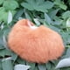 thumbnail image 4 of Dormir Sunnimix Piel de Zorro Adorno Interior Animal Color Amarillo, 4 of 8