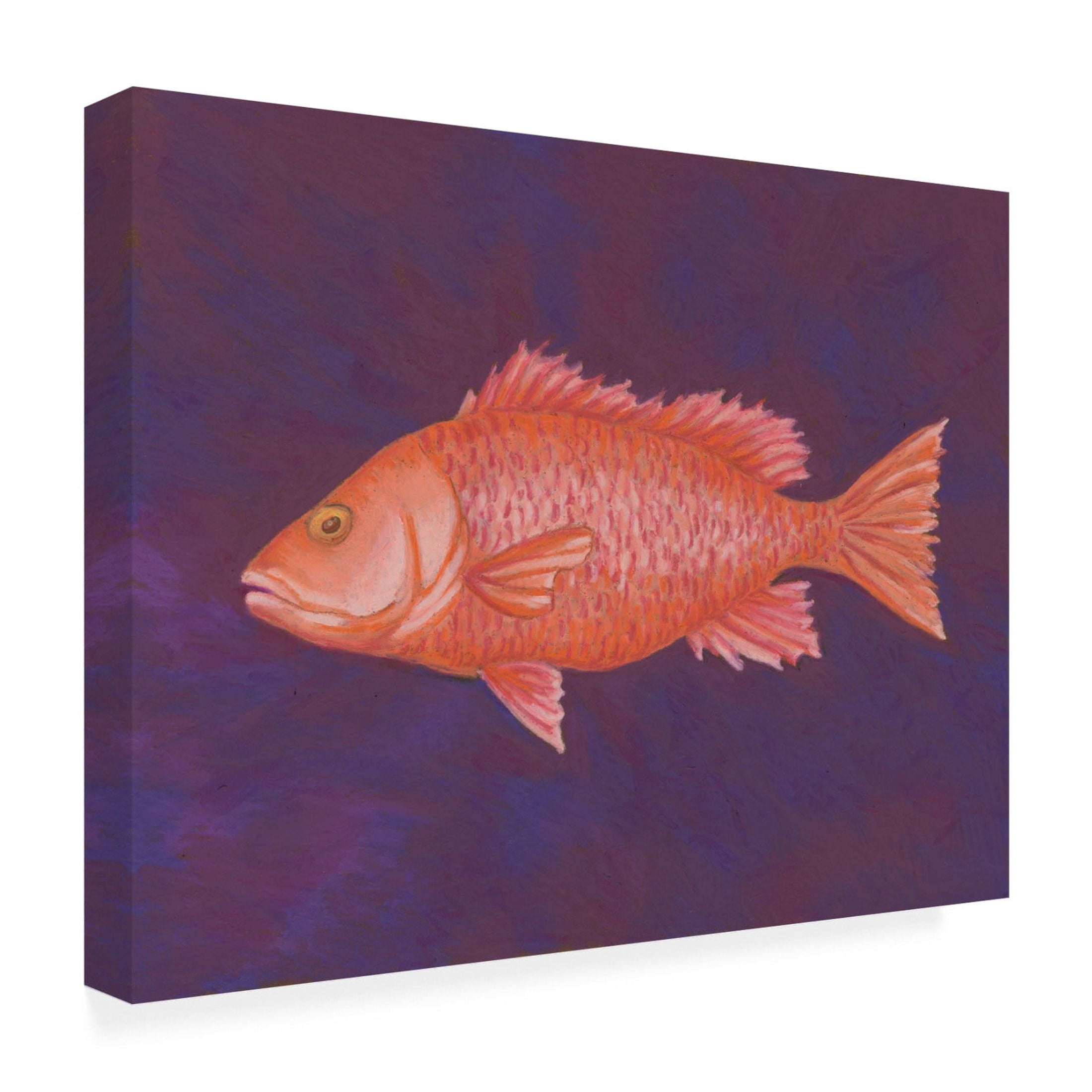Canvas Wall Art - Andrea Strongwater 'Fish Red Snapper' Wall Art for Living Room, Bedroom, or Office Décor by Trademark Fine Art - 24 x 18 Inches