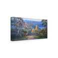 thumbnail image 4 of Canvas Wall Art - John Bradley 'Dawn in the Warrumbungles' Wall Art for Living Room, Bedroom, or Office Décor by Trademark Fine Art - 47 x 24 Inches, 4 of 4