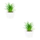 thumbnail image 4 of Plantas artificiales Bearachild suculentas Mini bonsai decorativas en maceta, 4 of 6