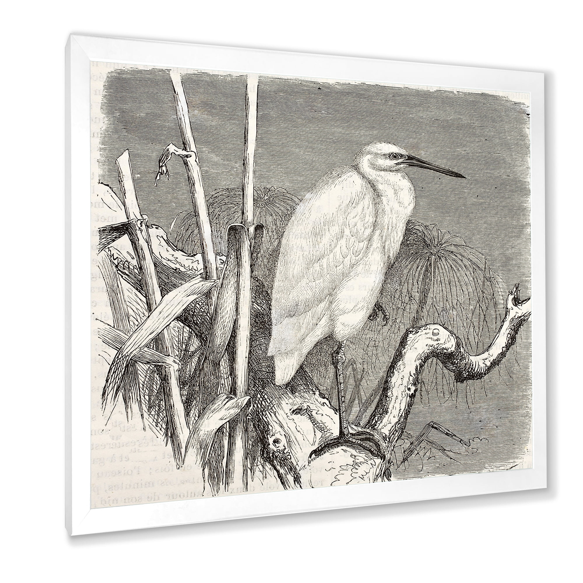 Designart 'Little Egret Bird in Monochrome' Farmhouse Framed Art Print