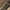 Tan/6 Inches, variant on FREE SOLDIER Men's 6 Inches Lightweight Breathable Desert Boots
