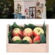 thumbnail image 4 of 1:12 Casa De Muñecas Fruta, Decoración Regalo De Cumpleaños Encantador Tronco De Arcilla Casa De Muñecas Fruta En Miniatura Para Reunión Familiar Para Aficionados ANGGREK 1:12 Dollhouse Fruit, 4 of 8