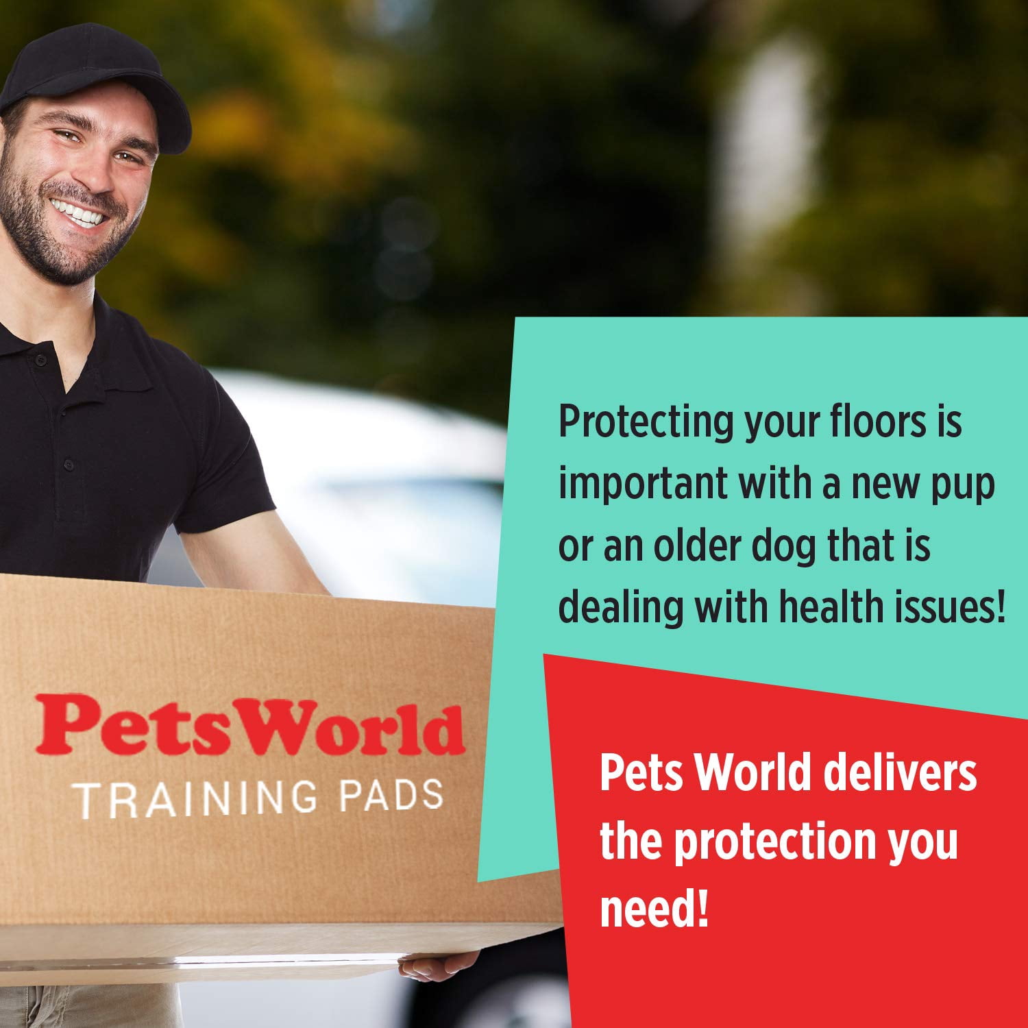 PetsWorld Pet Supplies Heavy Absorbent Adult Dog Pads, 30 X 36 Inches, Pee Pads, 300 Count training Puppy Pads 2-extra Large