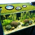 thumbnail image 4 of Acrylic Floating Plant Corral Dome Shape Floating Plant Ring for Intercepting Floating Plants in Aquariums, 4 of 7