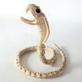 thumbnail image 6 of KMMYS Mini Poseable Skeleton Snake Spider Decoration, Halloween Props for Indoor Outdoor Use, Perfect for Haunted Houses, Graveyard Scenes, and Parties, Versatile Halloween Decor, 6 of 6